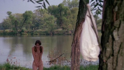 Monica Gayle - Nude Breasts in Nashville Girl (1976)