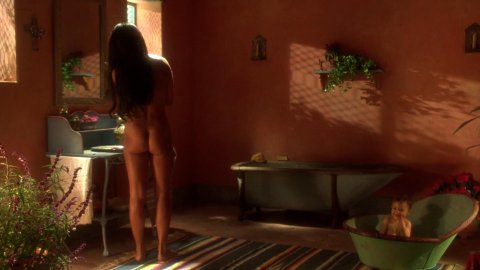 Lisa Comshaw, Jo Champa - Nude Breasts in Don Juan DeMarco (1995)