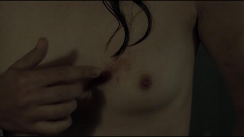 Sonia Suhl - Nude Breasts in When Animals Dream (2014)