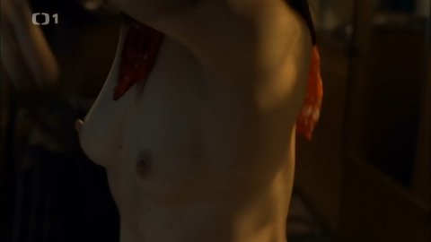 Tatiana Vilhelmova - Nude Breasts in Nevinné lži s02e03 (2014)